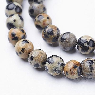 Natural Dalmatian Jasper Beads Strands GSR6mmC004-1