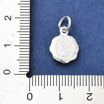 Sterling Silver Charms STER-E070-03F-1