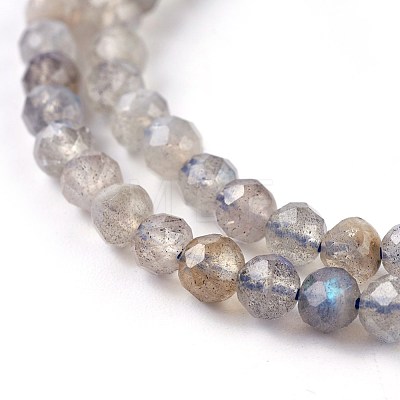 Natural Labradorite Beads Strands G-O176-04A-1