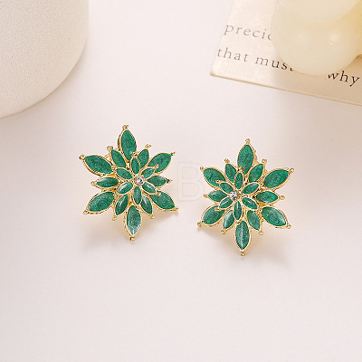 Alloy Enamel Stud Earrings WG34768-02-1