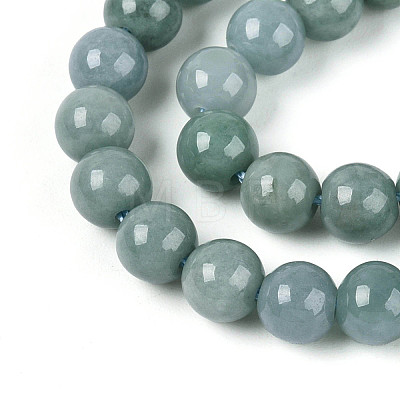 Natural Jadeite Beads Strands G-N353-07B-01-1