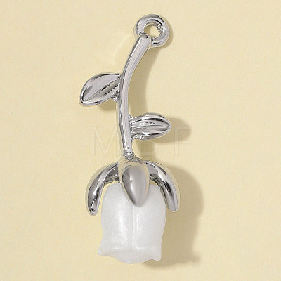 Zinc Alloy with Resin Pendants RE-OY001-12P-1