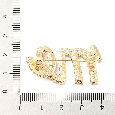 Alloy Rhinestone Brooches JEWB-P023-02G-1