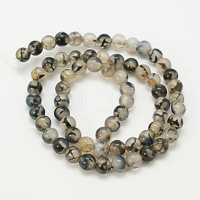 Natural Grey Agate Beads Strands G-G390-10mm-07-1