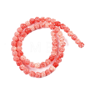 Synthetic Shell Dyed Carved Beads Strands SHEL-C008-01-1