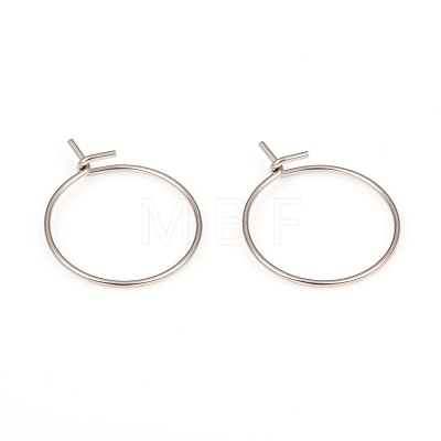 316L Surgical Stainless Steel Hoop Earring Findings STAS-G229-06P-1