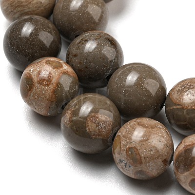 Natural Map Stone/Picasso Stone Beads Strands G-R494-A24-04-1