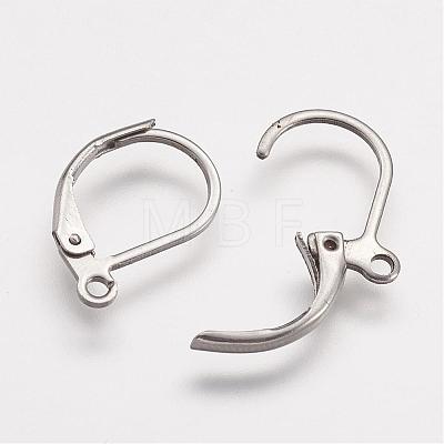 316 Surgical Stainless Steel Leverback Earring Findings STAS-P113-01-1