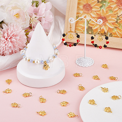 40Pcs Rack Plating Alloy Charms FIND-BBC0003-41G-1