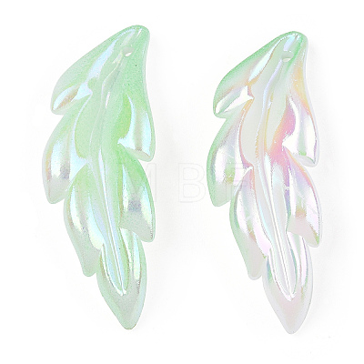 Transparent Acrylic Pendants TACR-TAC0005-03A-1