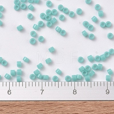 MIYUKI Delica Beads SEED-J020-DB1136-1