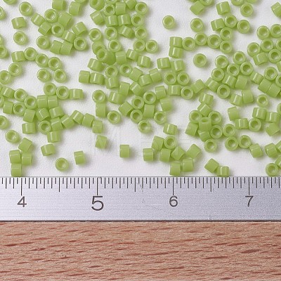 MIYUKI Delica Beads Small SEED-JP0008-DBS0733-1