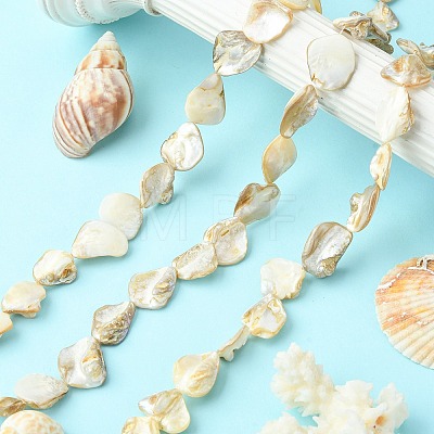 Handmade Natural Shell Beads Strands X-PBB471-1-1