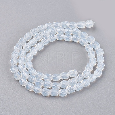Opalite Beads Strands GLAA-F002-G04-1