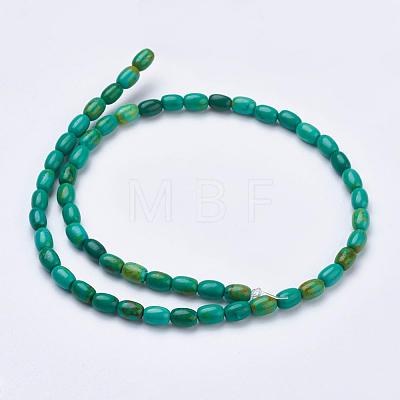 Natural Magnesite Beads Strands TURQ-K003-01B-1