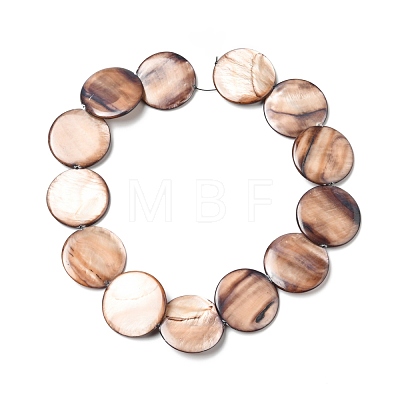 Natural Shell Beads Strands BSHE-G029-07-1