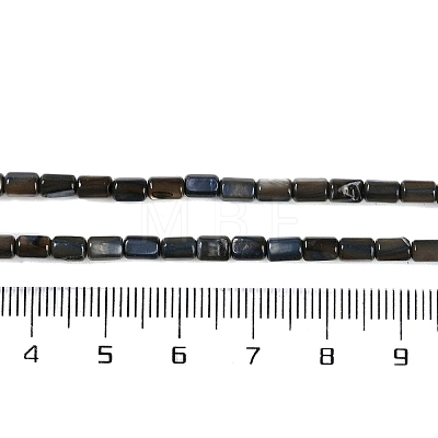 Natural Freshwater Shell Beads Strands BSHE-H109-17E-1