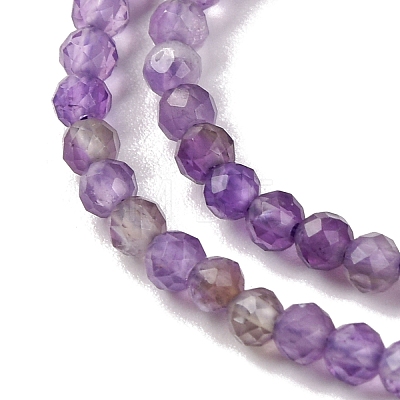 Natural Amethyst Beads Strands G-A235-A03-01-1