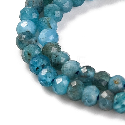 Natural Apatite Beads Strands G-F770-D09-02B-1