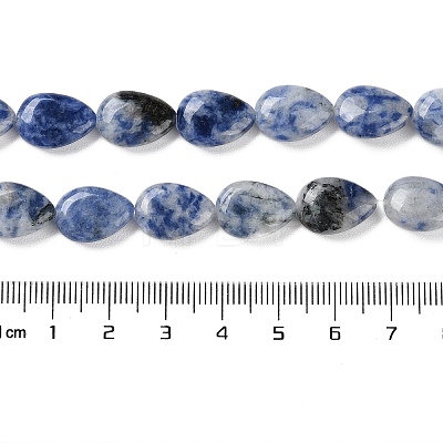 Natural Blue Spot Jasper Beads Strands G-K357-A06-01-1