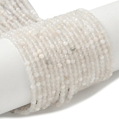 Natural Moonstone Beads Strands G-C201-B06-3mm-1