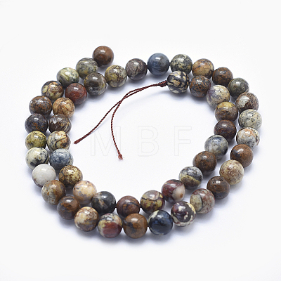 Natural Pietersite Beads Strands G-K256-49-8mm-1
