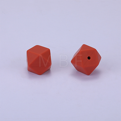 Hexagonal Silicone Focal Beads LS-SI-JX0020A-81-1