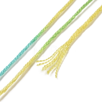 10 Skeins 6-Ply Polyester Embroidery Floss OCOR-K006-A22-1