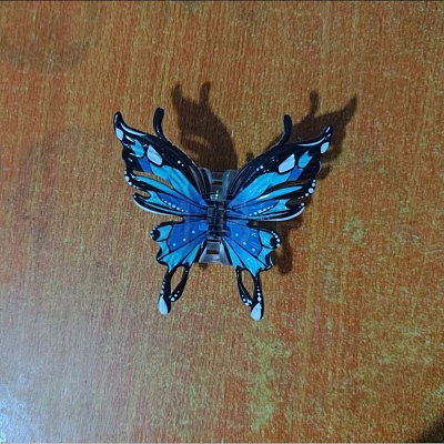 Resin Claw Hair Clips PW-WG0F8BB-02-1