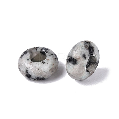Natural Labradorite European Beads G-N359-17A-06-1
