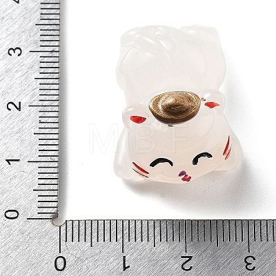 Luminous Resin Lucky Cat Display Decorations DJEW-P020-01A-1