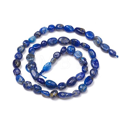Natural Lapis Lazuli Beads Strands G-L493-40-1