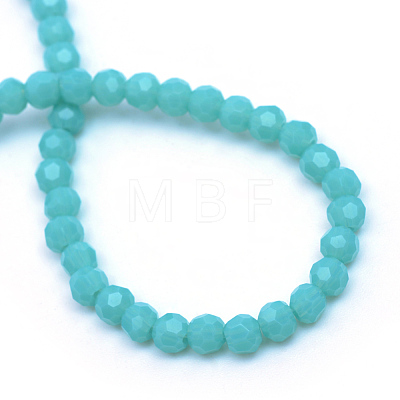 Opaque Solid Glass Bead Strands X-GLAA-R166-4mm-02I-1