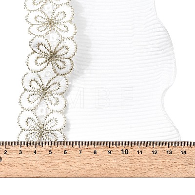 Polyester Lace Trim Ribbon OCOR-XCP0002-02-1