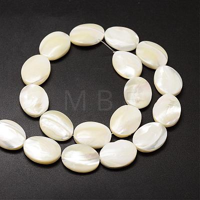 Natural Trochid Shell/Trochus Shell Beads Strands SSHEL-K008-01-1