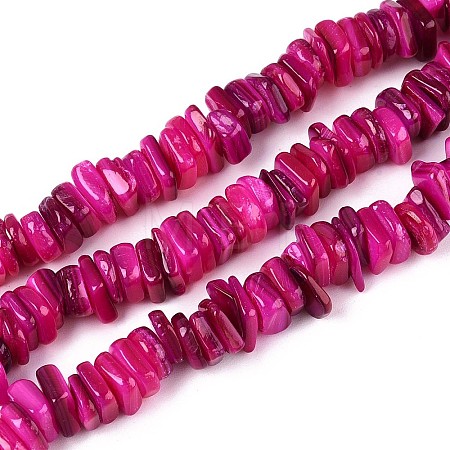 Natural Freshwater Shell Beads Strands SHEL-T020-40A-1