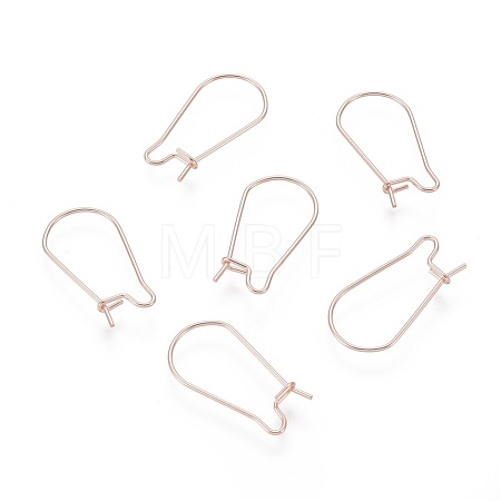 304 Stainless Steel Hoop Earring Findings STAS-P223-01RG-02-1