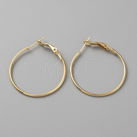 Brass Hoop Earring Findings FIND-WH0110-742B-G-1