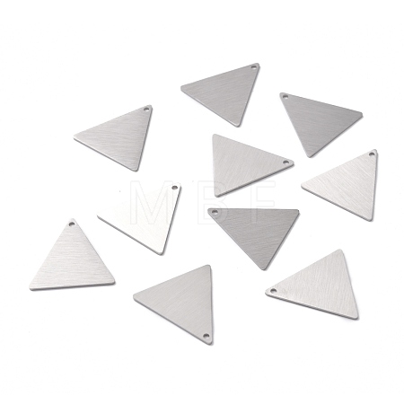 Tarnish Resistant 304 Stainless Steel Pendants STAS-F271-08E-P-1