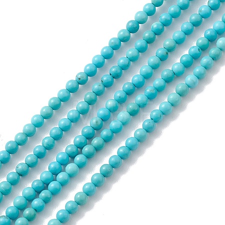 Natural Howlite Beads Strands X-TURQ-K005-01A-1