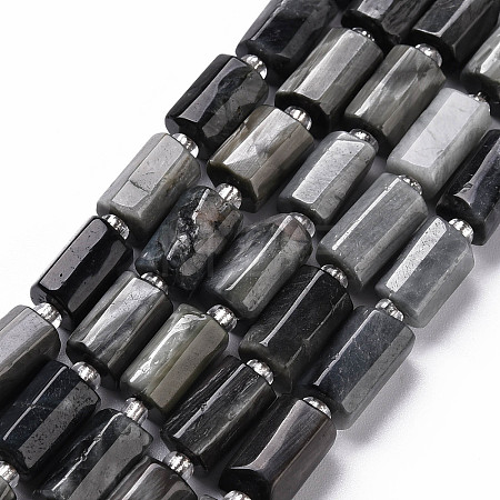 Natural Hawk's Eye Beads Strands X-G-S345-8x11-009-1