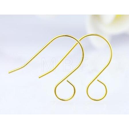 100Pcs 316 Stainless Steel French Earring Hooks JX138B-1