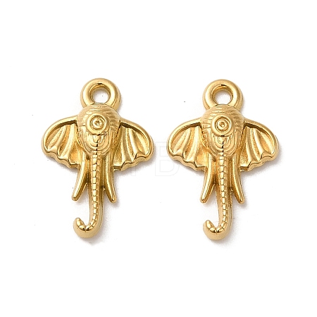 304 Stainless Steel Charm STAS-I203-59G-1