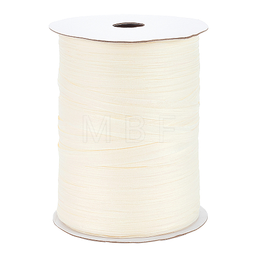 BENECREAT Flat Raffia Paper Ribbon OCOR-BC0006-20A-1