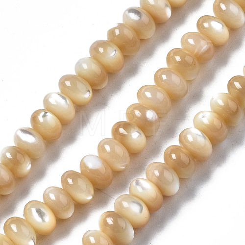 Natural Trochid Shell/Trochus Shell Beads Strands SSHEL-S266-017B-1