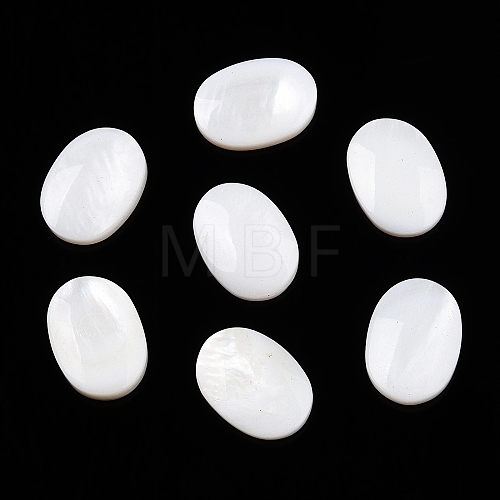 Natural Freshwater Shell Cabochons SHEL-T020-04-1