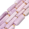 Natural Kunzite Beads Strands G-D353-A15-2