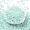 6/0 Glass Seed Beads X1-SEED-L011-08A-14-2