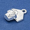 Alloy Pendants FIND-Z055-03S-2