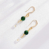 16 Pairs 2 Colors Brass Earring Hooks KK-FH0005-54-4